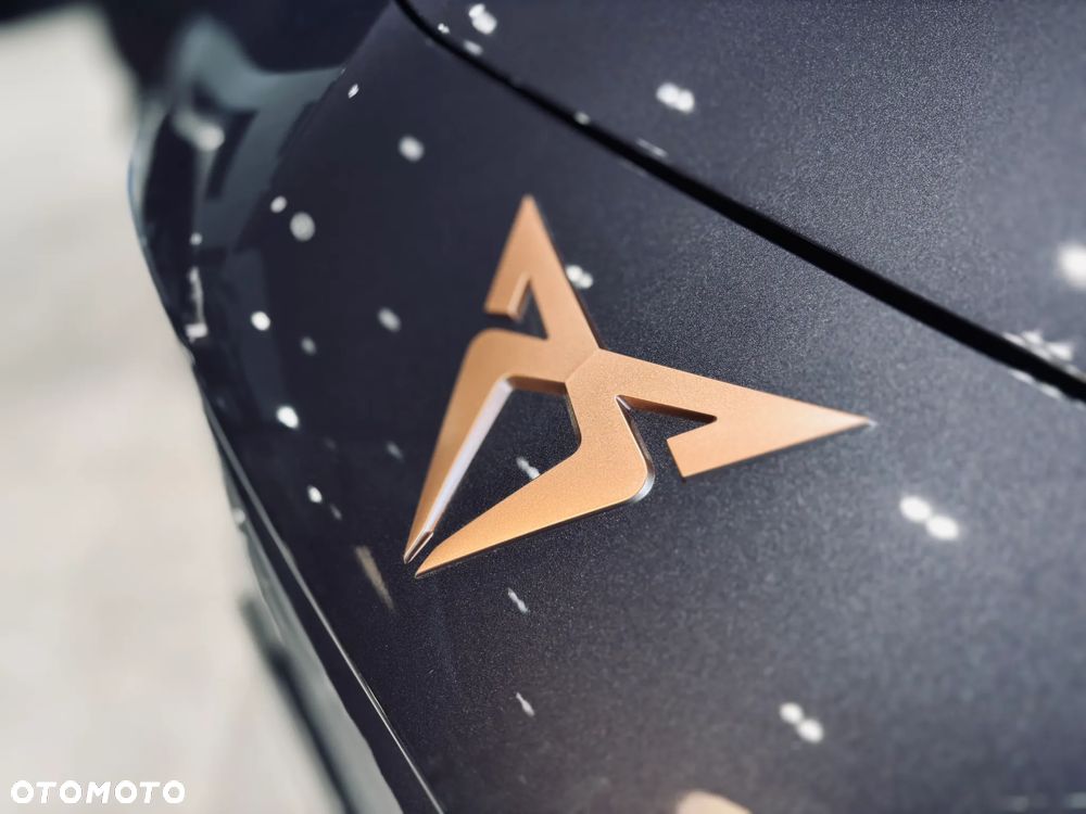 Cupra Terramar 2.0 TSI 4Drive DSG - 7