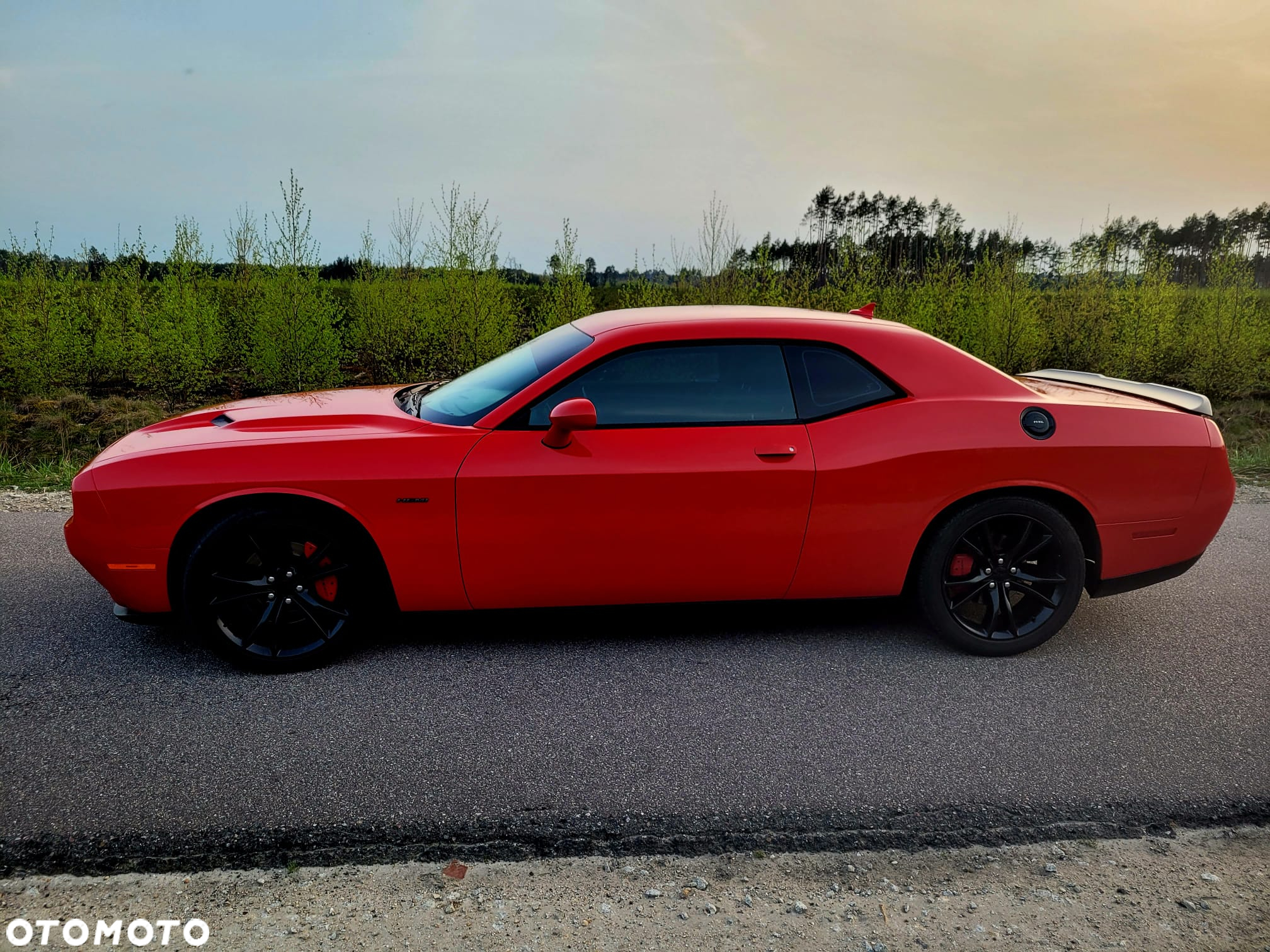 Dodge Challenger Automatik R/T Plus - 5