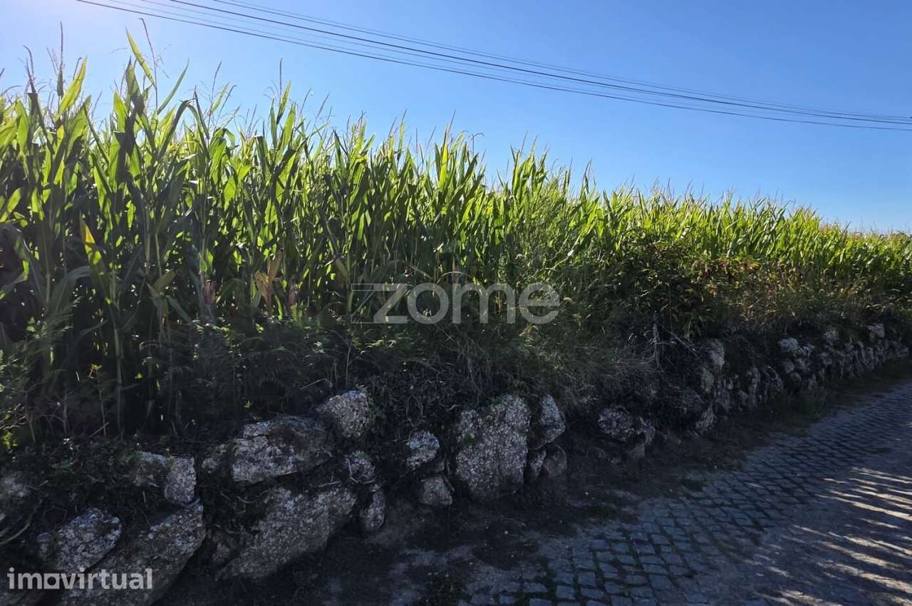 Terreno Agrícola em Sequeade, Barcelos - Grande imagem: 4/6
