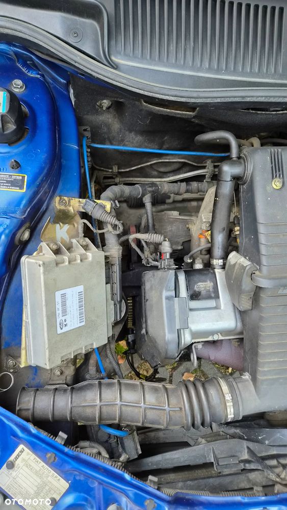 Fiat Punto - 33
