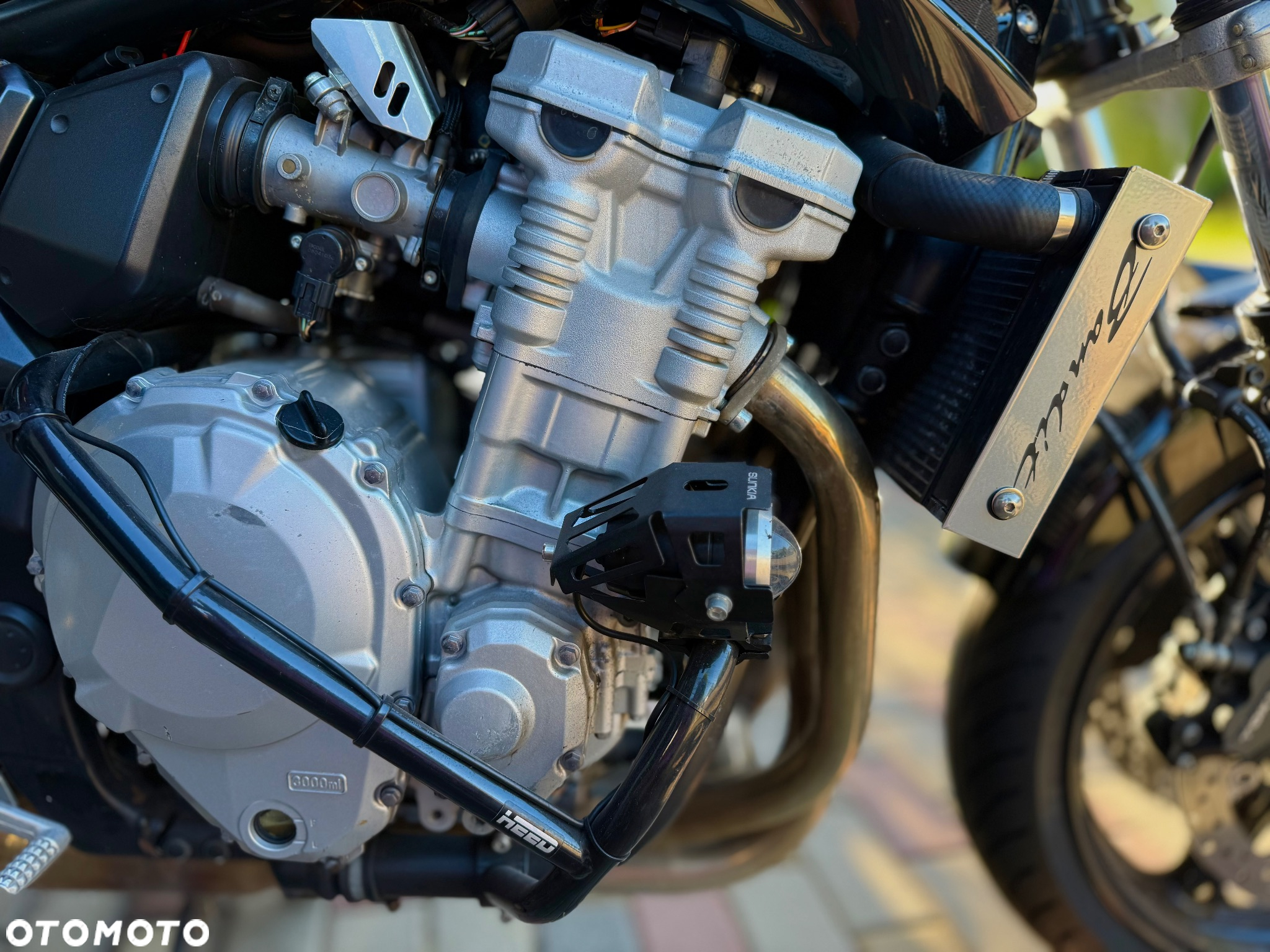 Suzuki Bandit - 6