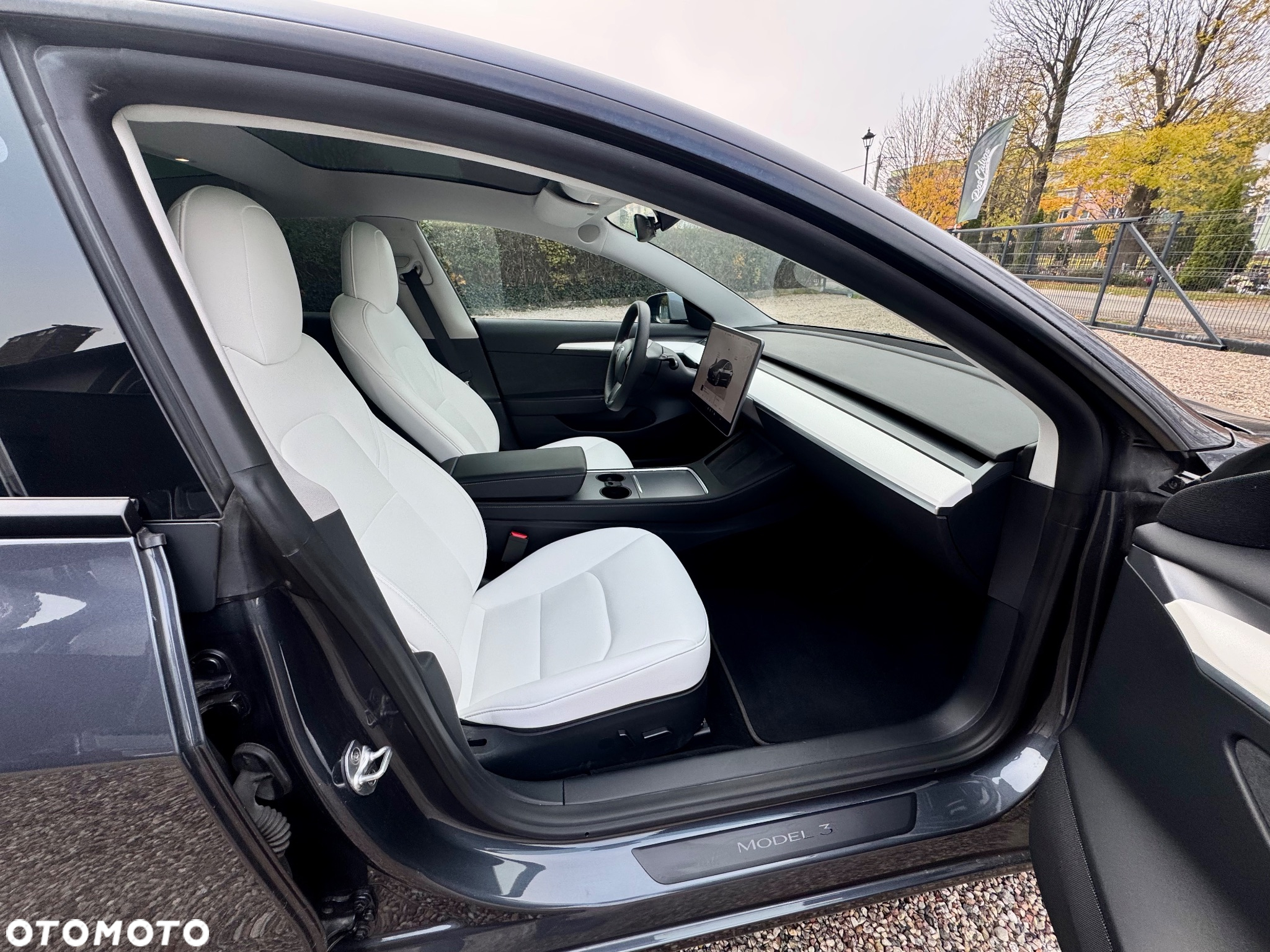 Tesla Model 3 - 19