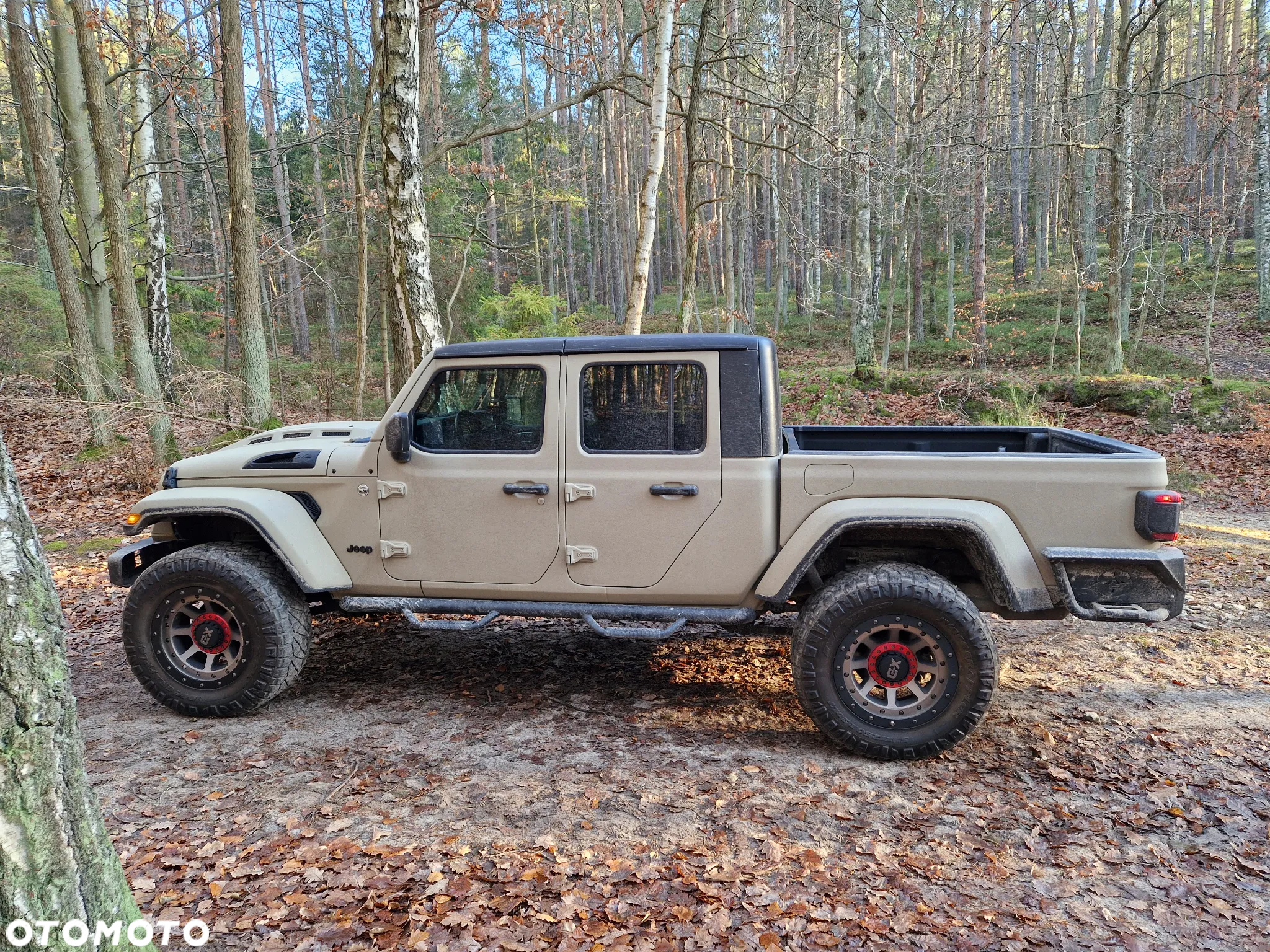Jeep Inny - 8