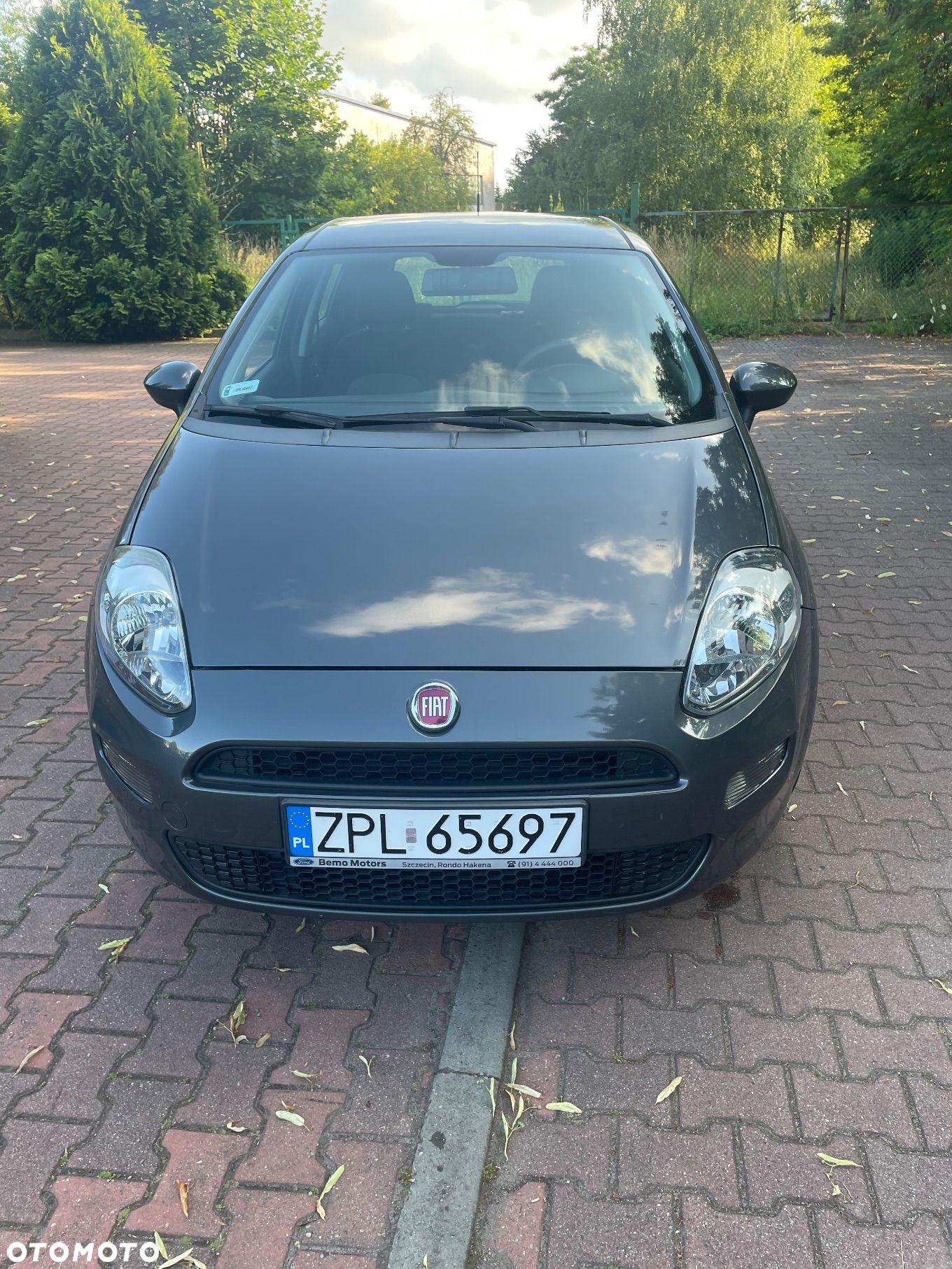 Fiat Punto 1.2 Easy - 1