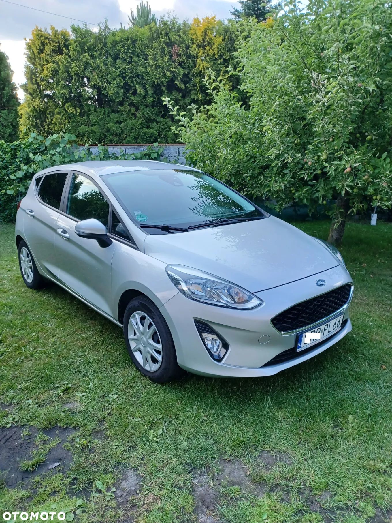 Ford Fiesta - 1