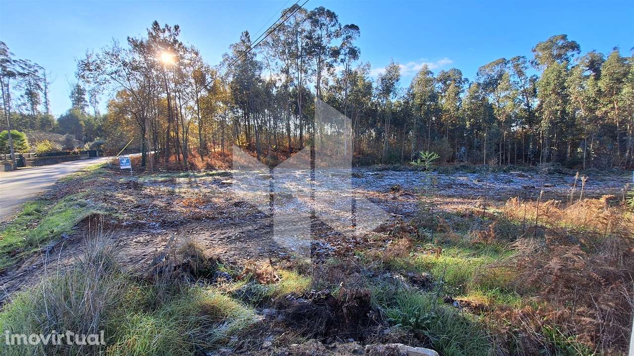 Terreno Para Construção  Venda em Campo de Besteiros,Tondela - Grande imagem: 5/13
