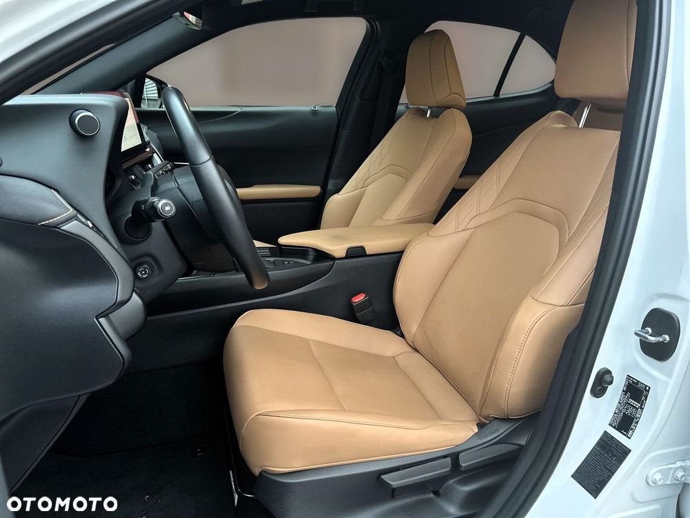 Lexus UX 250h GPF F Sport Design 2WD - 14