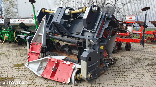 Dominoni Kaiman SL 978 BG