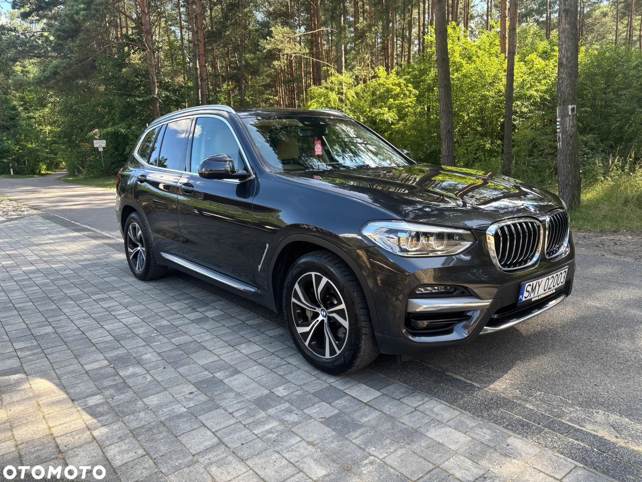 BMW X3 xDrive30e Luxury Line - 1