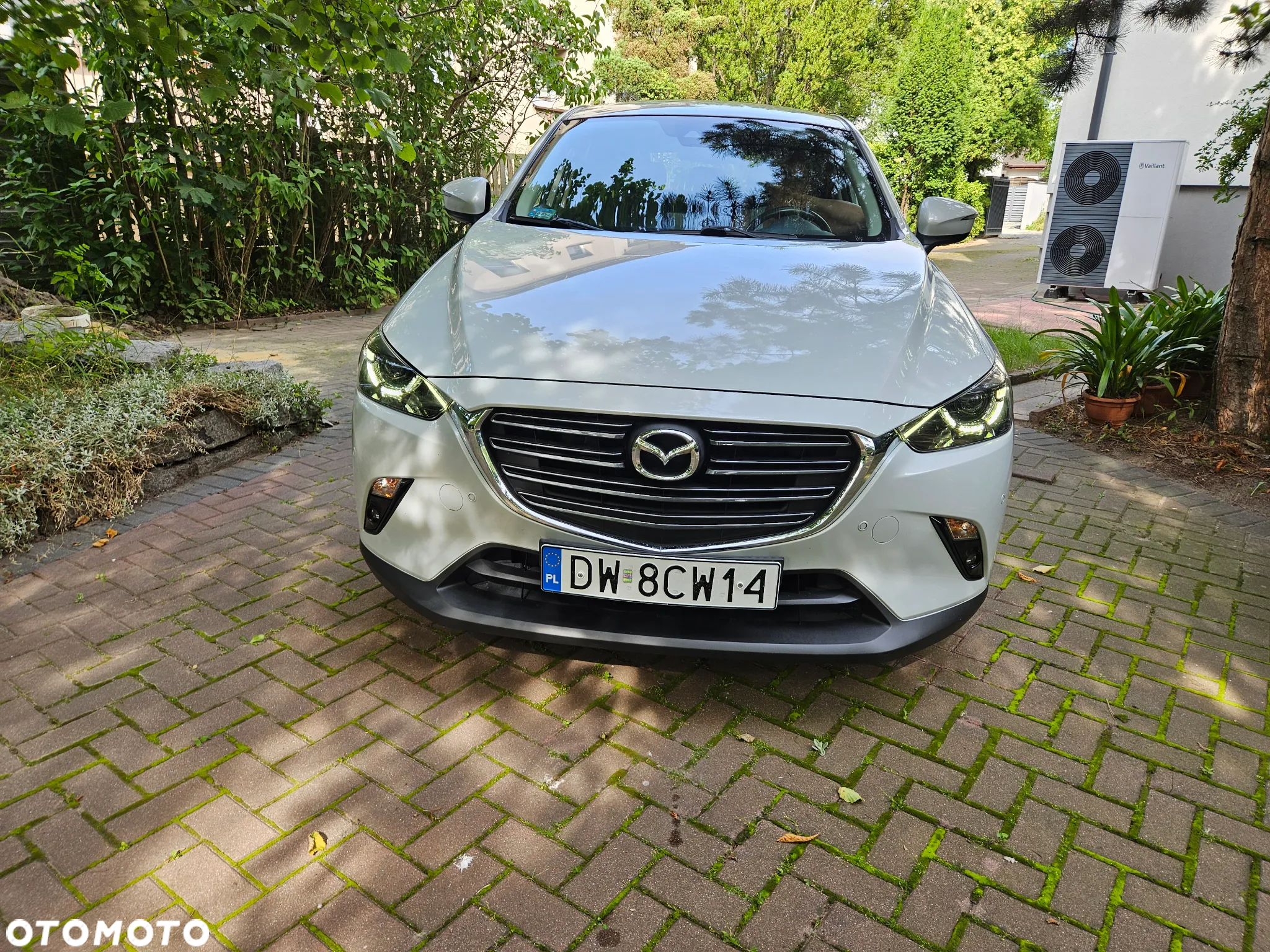 Mazda CX-3 2.0 SkyEnergy - 2