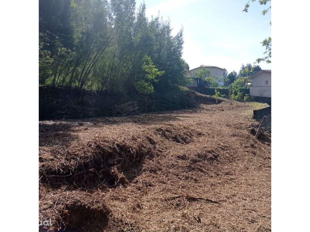 Terreno Refojos de Riba D'Ave - Grande imagem: 3/13