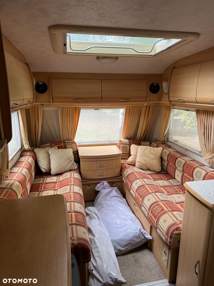 Coachman Amara - 10