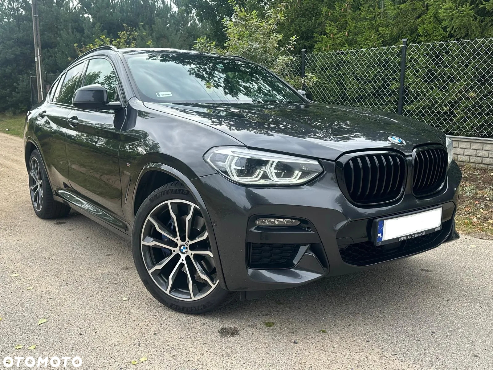 BMW X4 xDrive30d Advantage sport - 2
