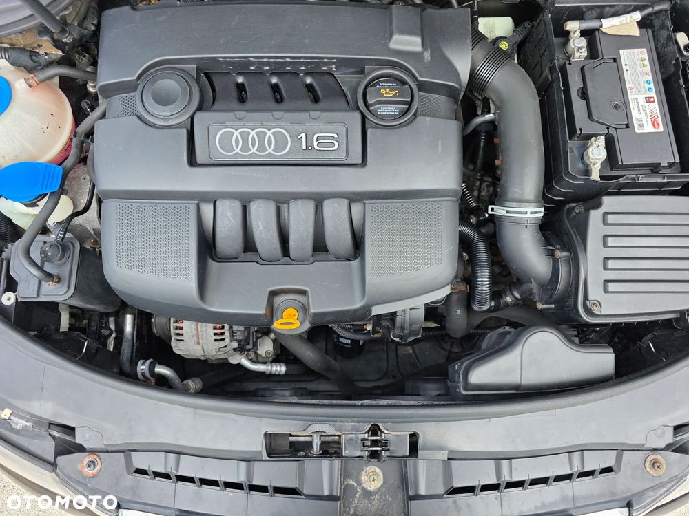 Audi A3 3-drzwiowe - 18