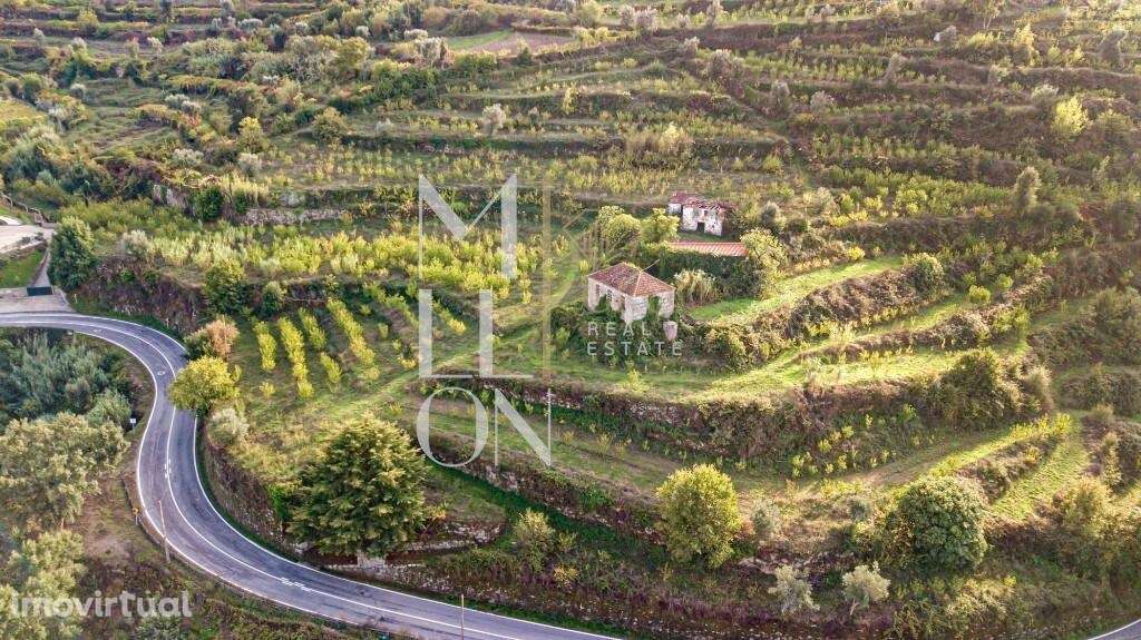 3 Quintas para venda em Resende - Grande imagem: 4/25