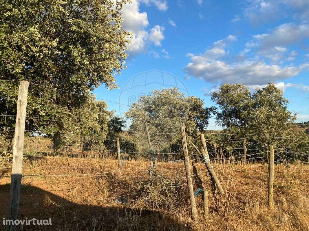 Terreno  para venda - Grande imagem: 5/8