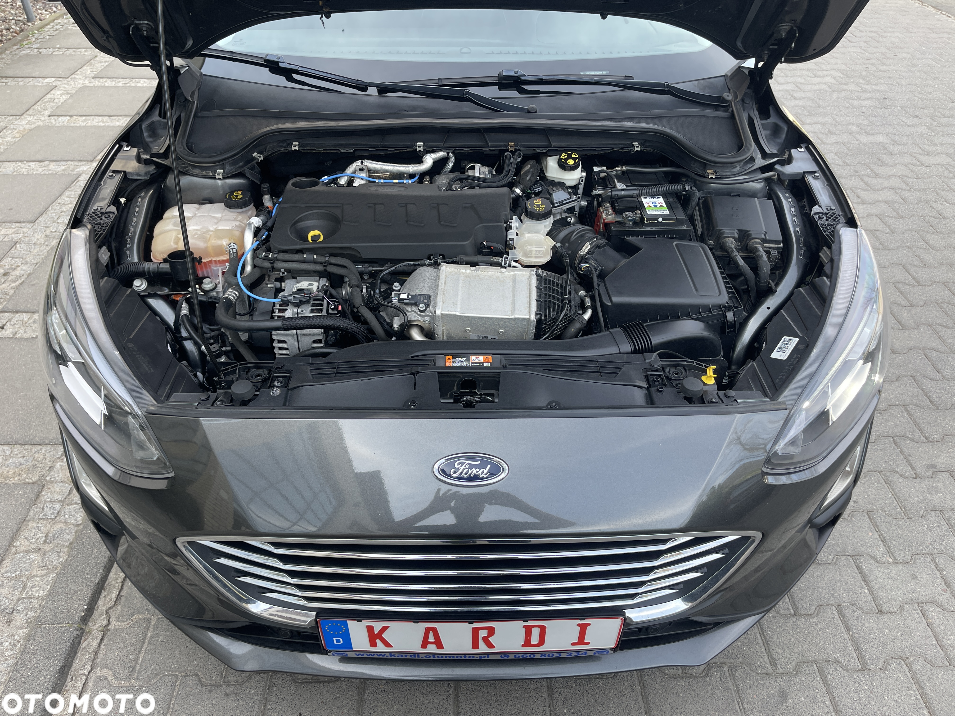 Ford Focus - 33