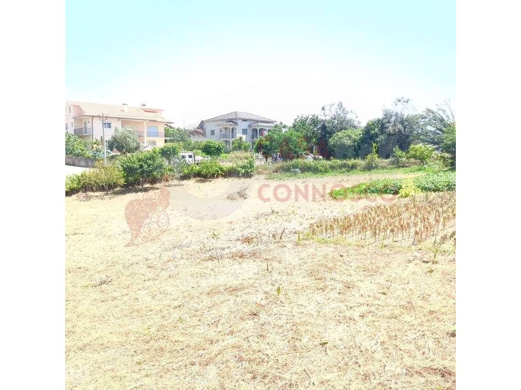Moradia em pedra com terreno de 950 m² junto à Albufeira do Rio Alva - Grande imagem: 2/5