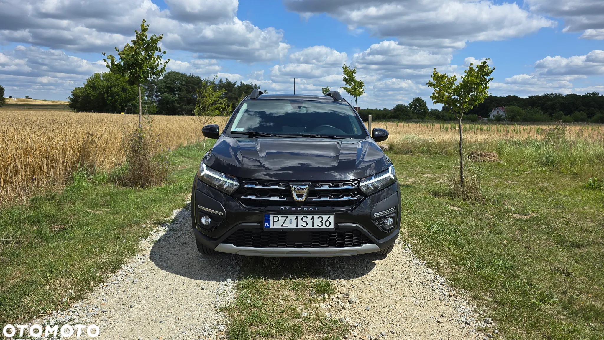 Dacia Sandero Stepway - 2