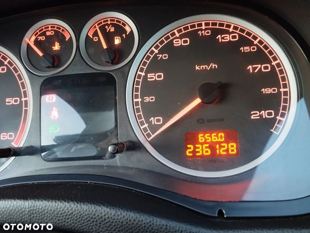 Peugeot 307 - 8
