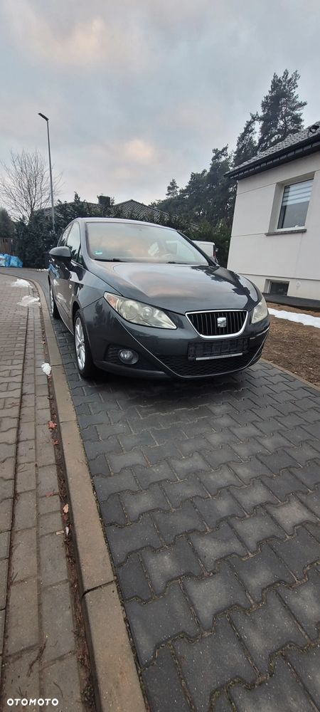 Seat Ibiza - 30