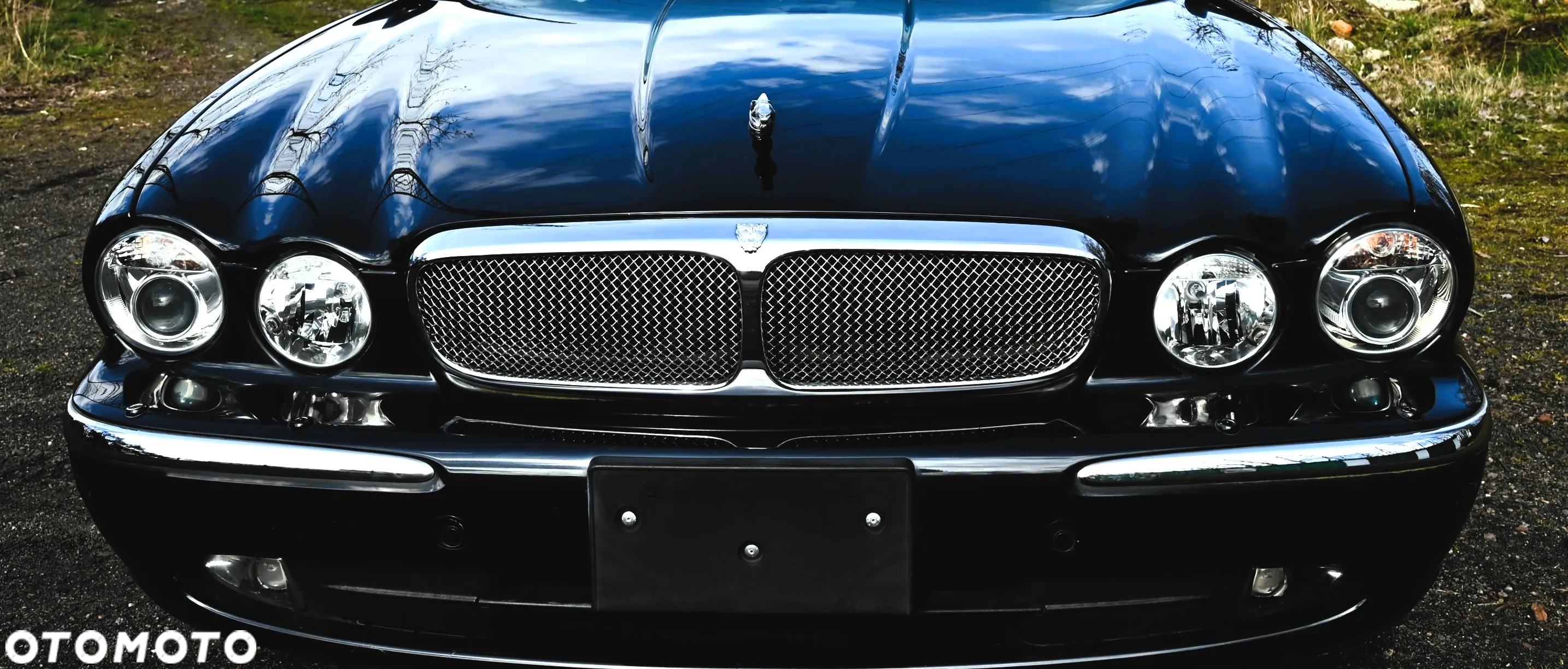 Jaguar XJ XJ8 4.2 Executive - 37