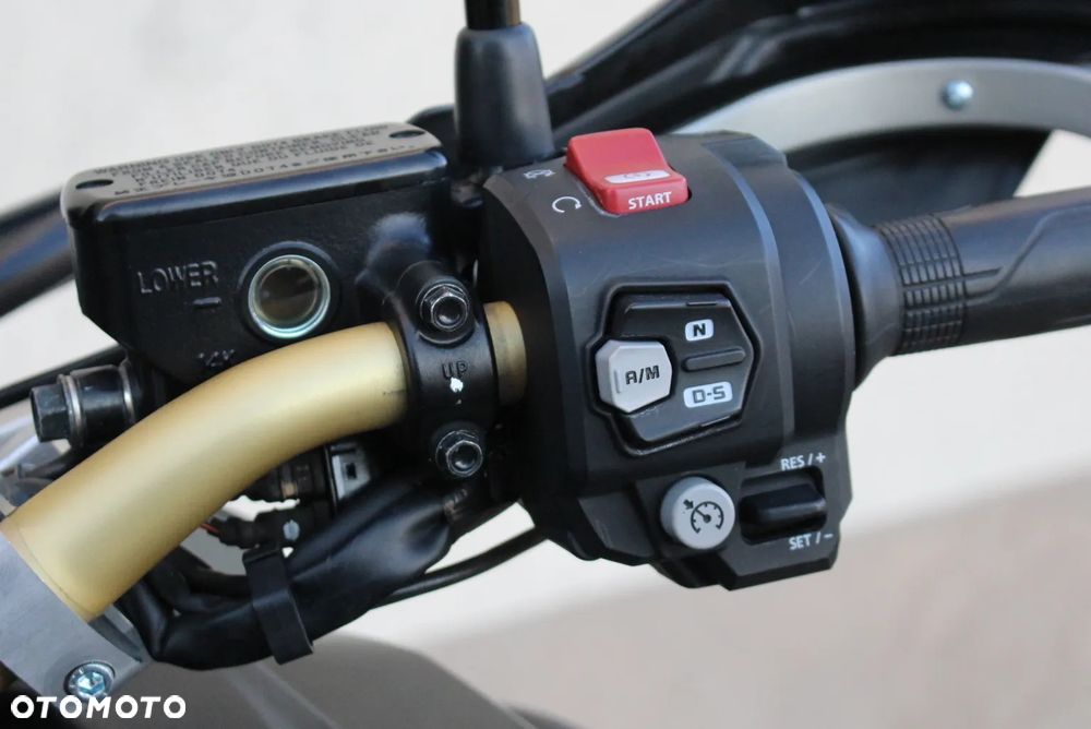 Honda CRF - 33