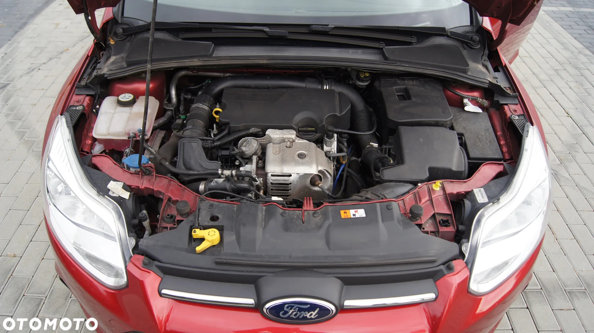 Ford Focus - 18