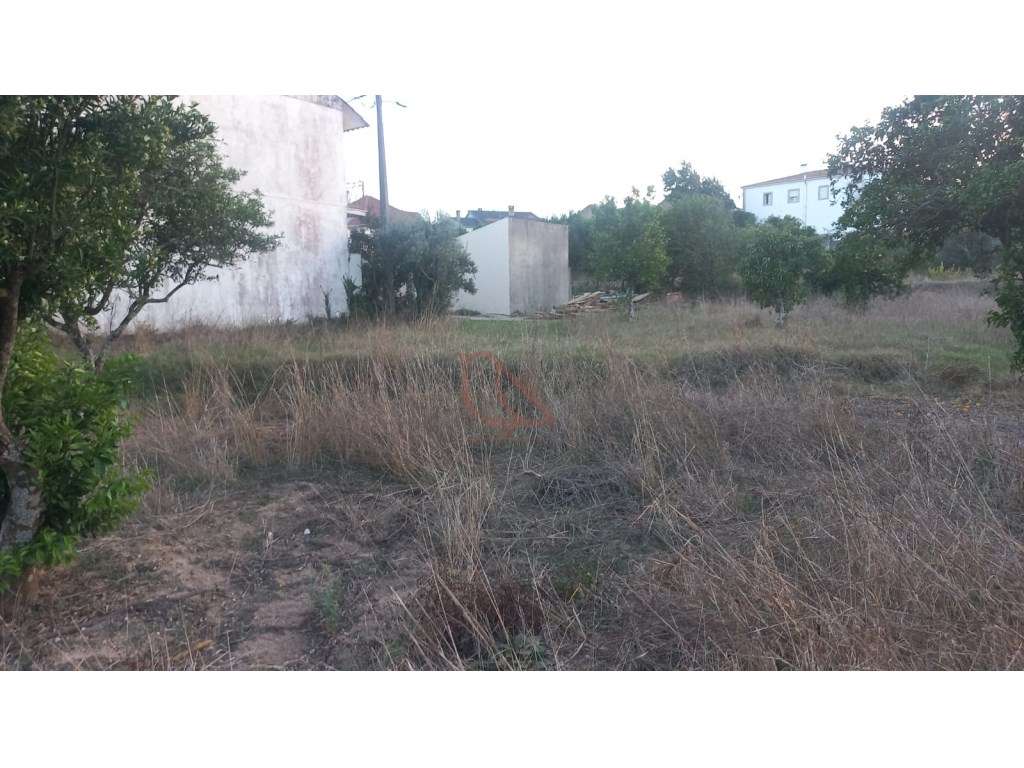 Terreno para construção - Grande imagem: 4/8