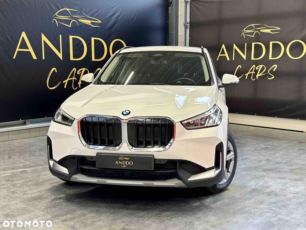 BMW X1 xDrive23d - 7