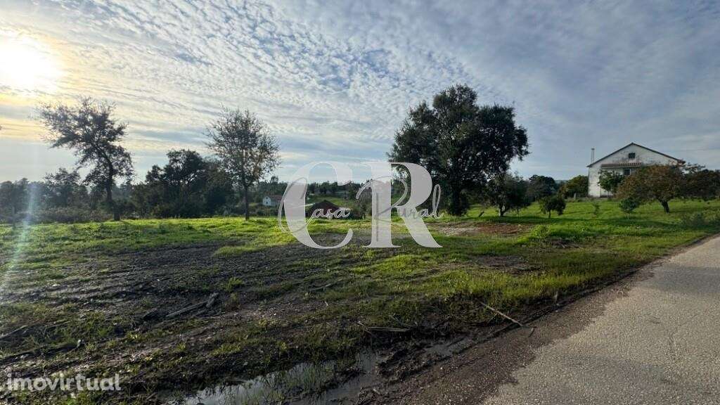 Terreno com viabilidade de construção - Grande imagem: 2/12