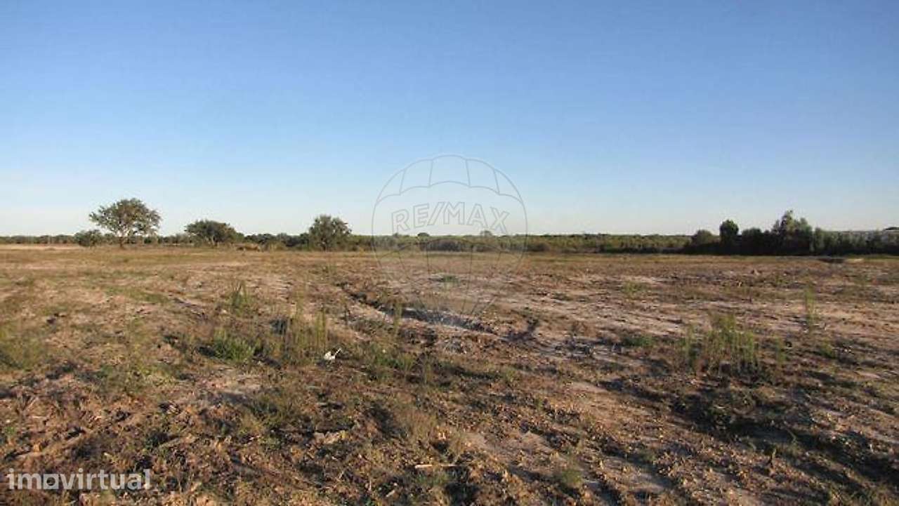 Terreno  para venda - Grande imagem: 2/3