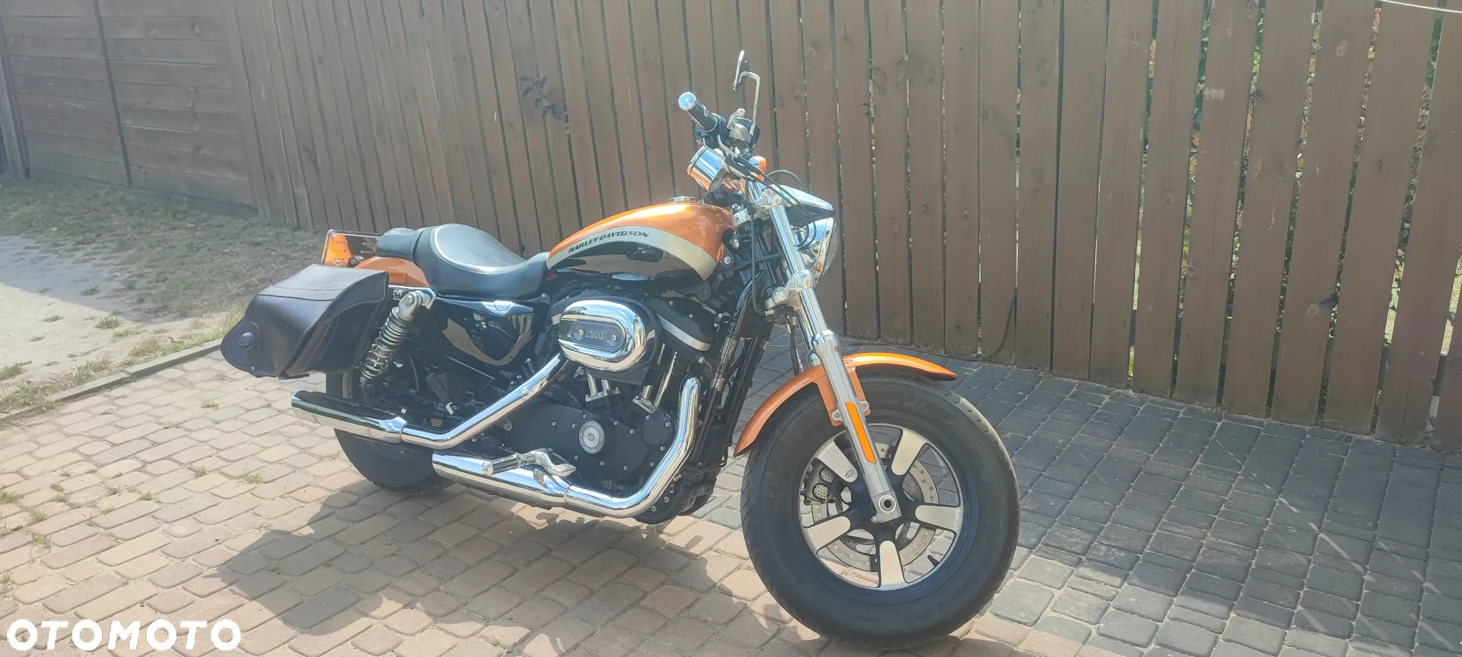 Harley-Davidson Sportster Custom 1200C - 8