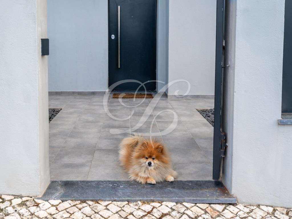 Moradia T4+1 | Cascais - Grande imagem: 3/45