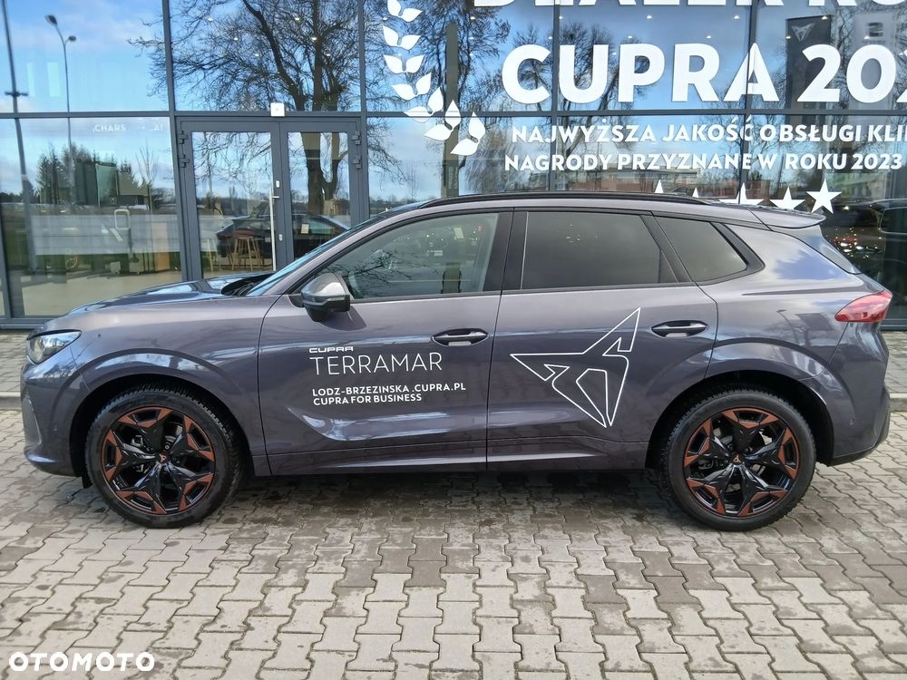 Cupra Terramar - 6
