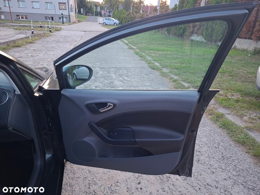 Seat Ibiza - 19
