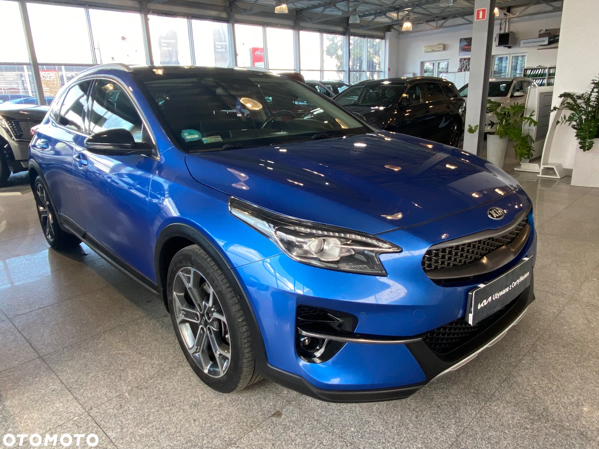 Kia XCeed 1.6 T-GDI XL DCT - 6