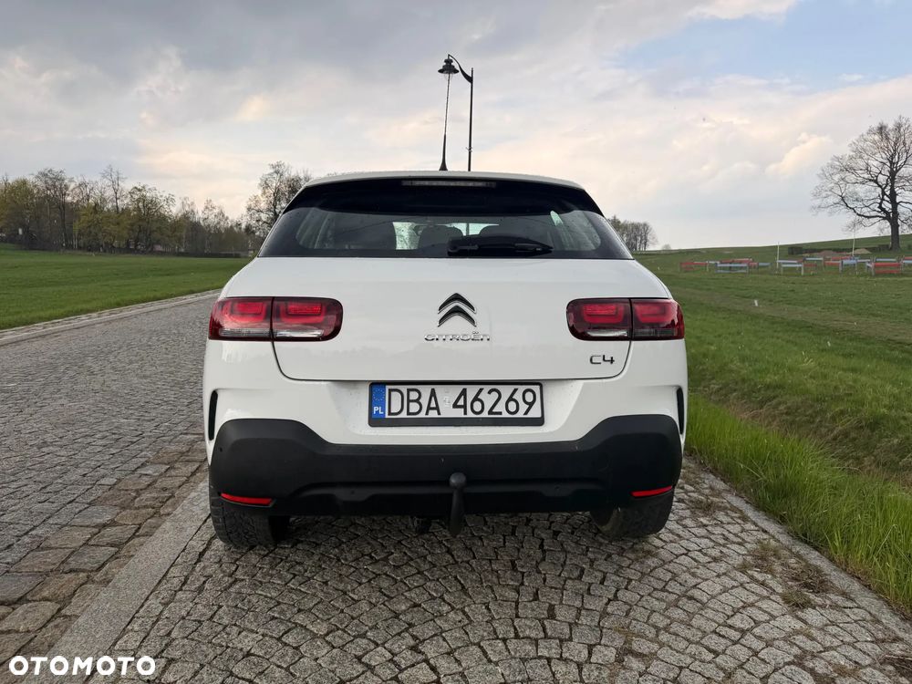 Citroën C4 Cactus 1.2 PureTech GPF Shine S&S EAT6 - 17