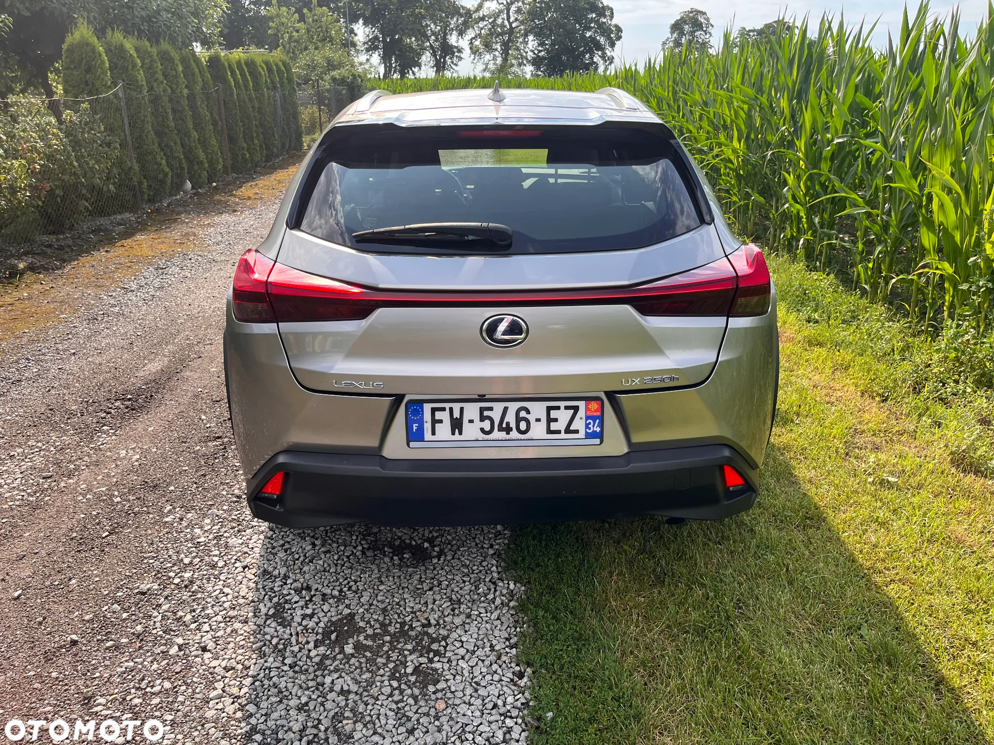 Lexus UX 250h GPF Business 2WD - 5