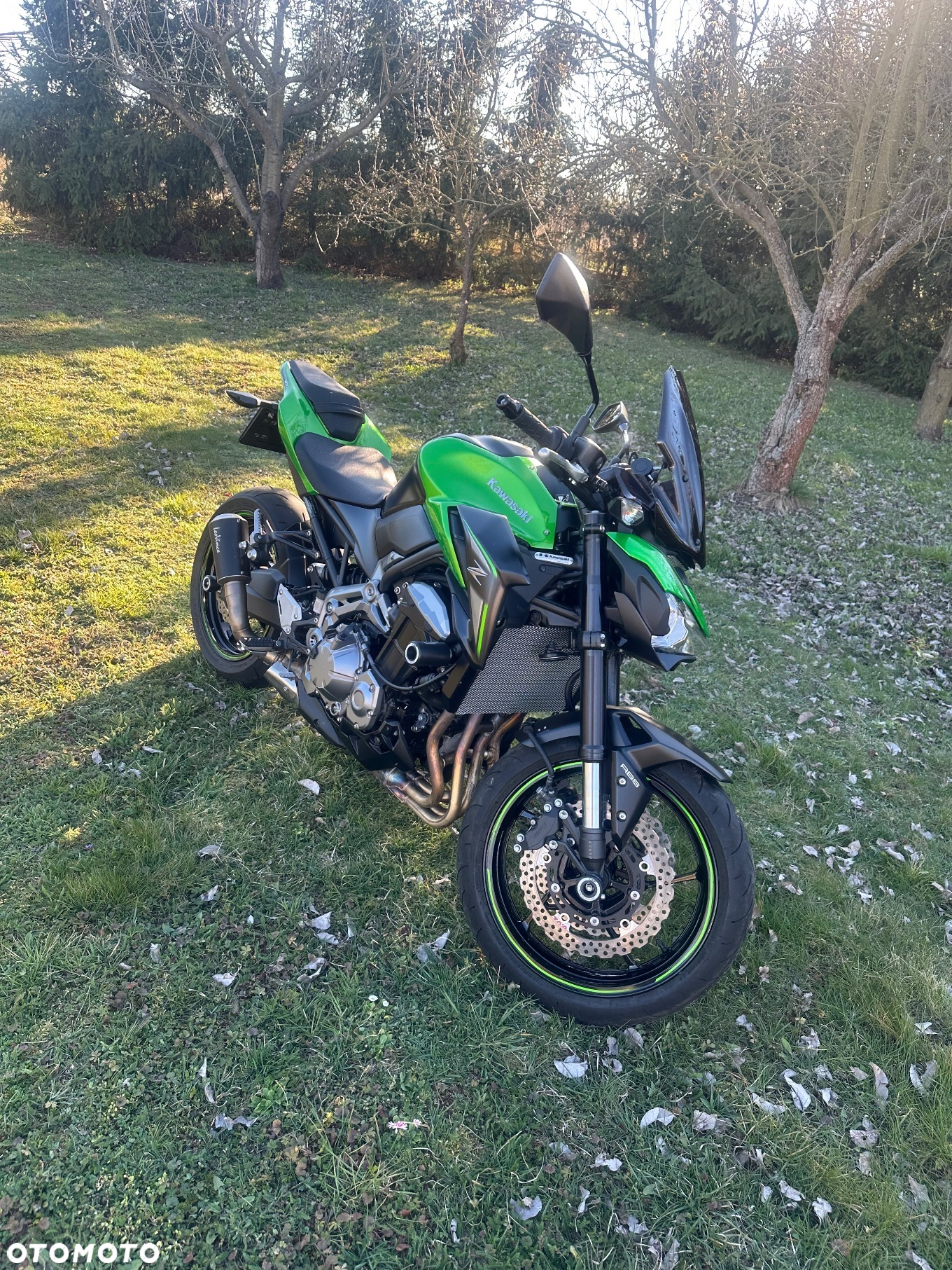 Kawasaki Z 900 - 3