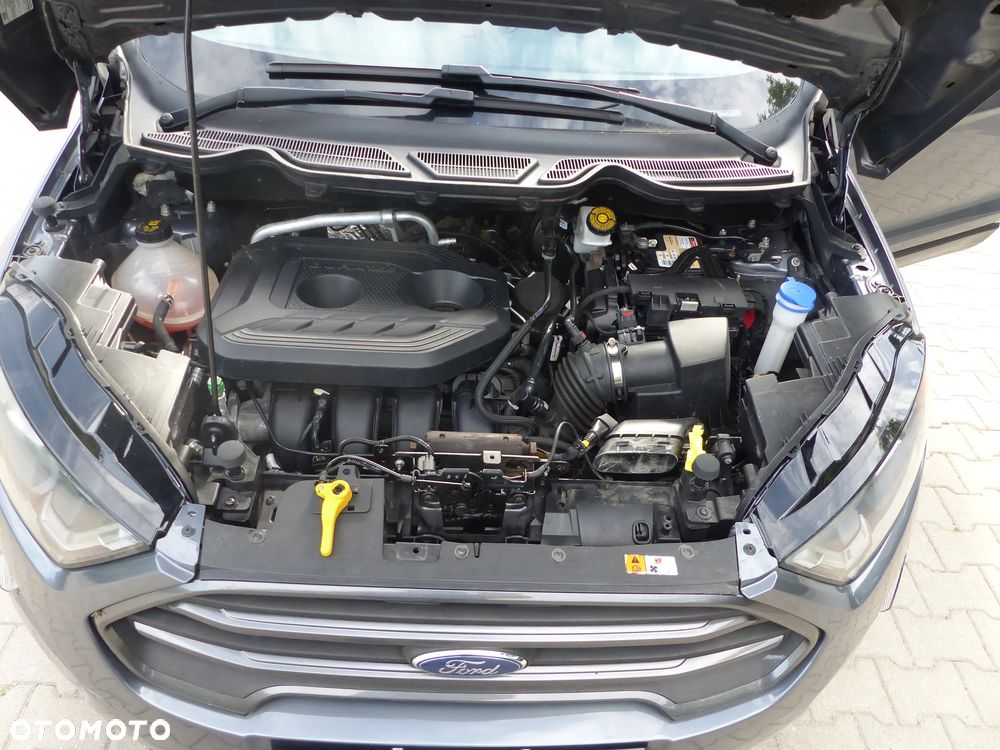 Ford EcoSport - 37