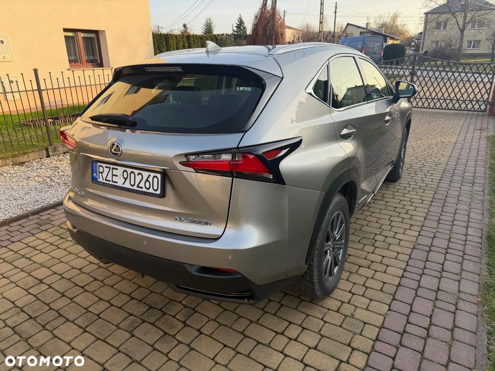 Lexus NX - 5