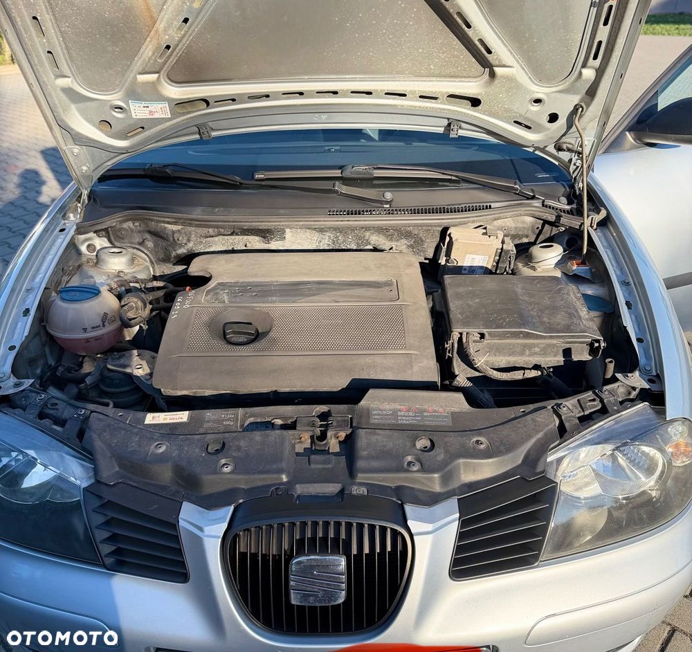 Seat Ibiza - 8