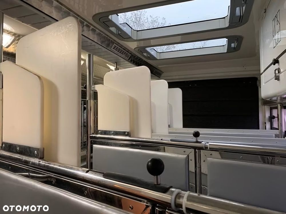 Scania P320 Interhorse – Transporter dla 5 Koni - część mieszkalna ok. 27,5 m² - 10