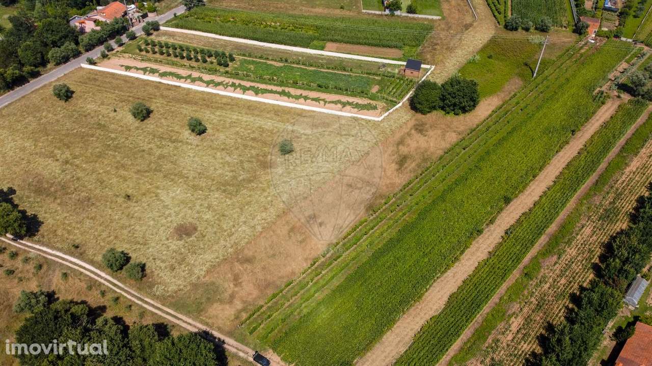 Terreno  para venda - Grande imagem: 4/11