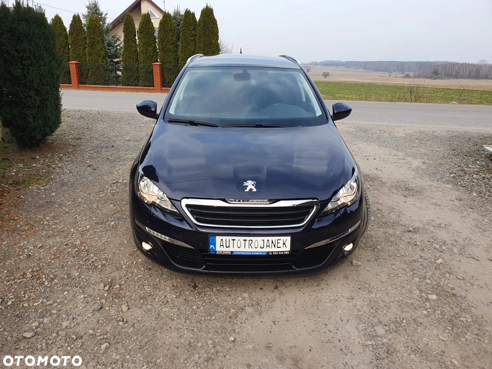 Peugeot 308 1.6 BlueHDi Business Line S&S - 2