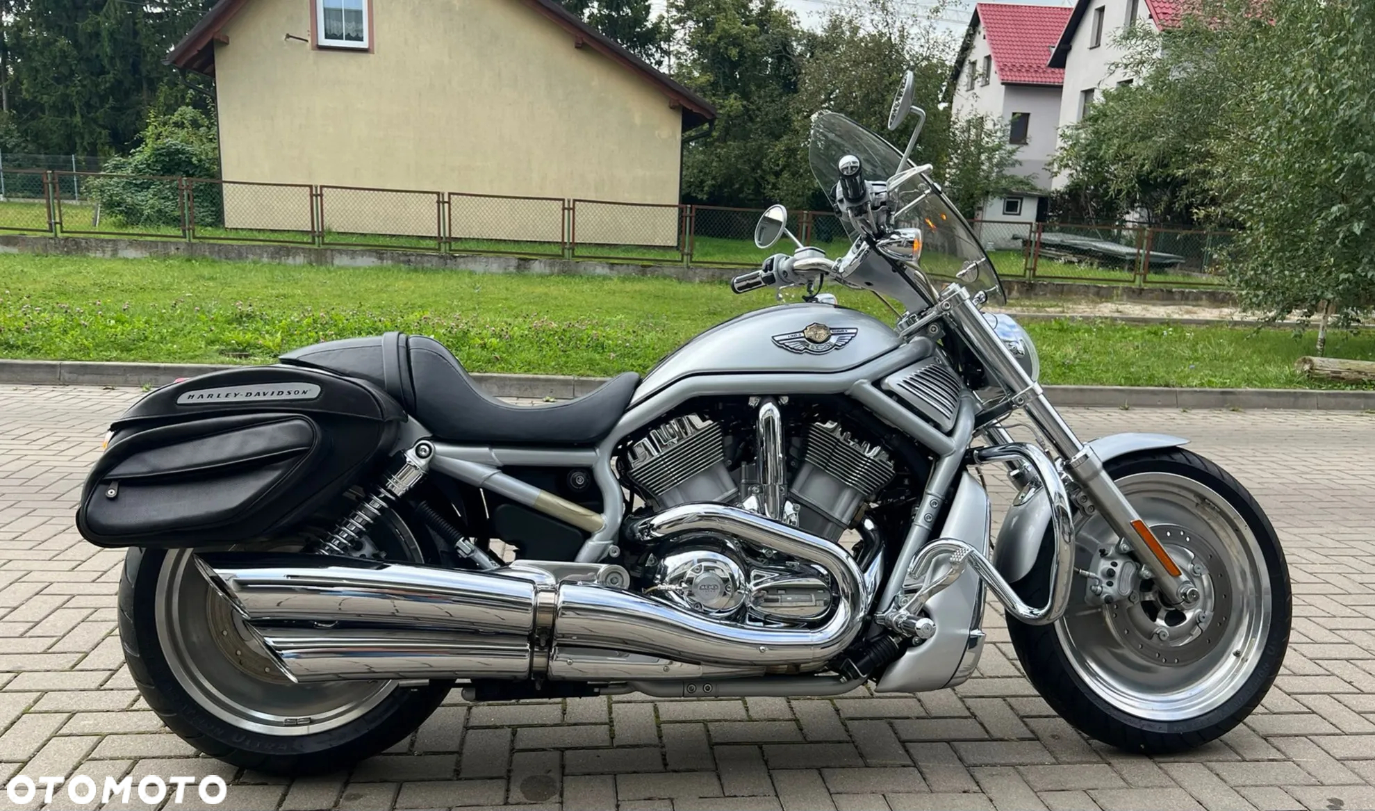 Harley-Davidson Softail V-Rod - 7