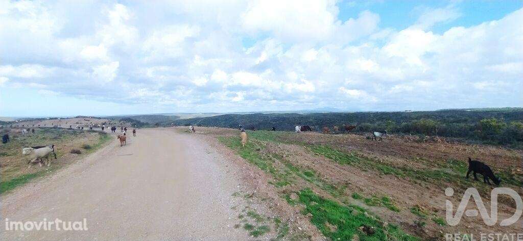 Terreno T1 em Vila do Bispo e Raposeira de 715460,00 m2 - Grande imagem: 5/11