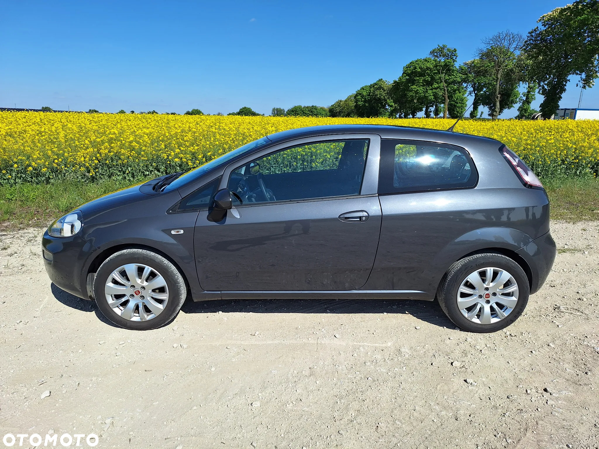 Fiat Punto Evo 1.2 8V Young II - 3