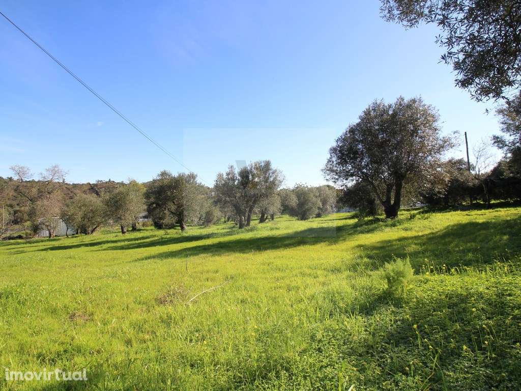 Terreno com projecto aprovado para construção de 2 moradias geminadas - Grande imagem: 4/6